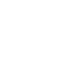 <strong>Automobile</strong>